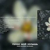 Баста, MONA, Три дня дождя, Владимир Пресняков - Луч солнца золотого