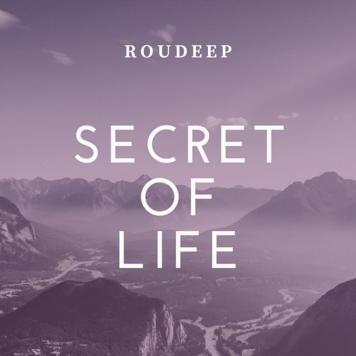 Roudeep - Secret of Life (Original Mix)