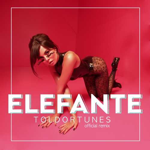 NK - Elefante (ToldorTunes Remix)