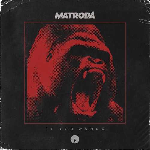 Matroda - If You Wanna (Original Mix)