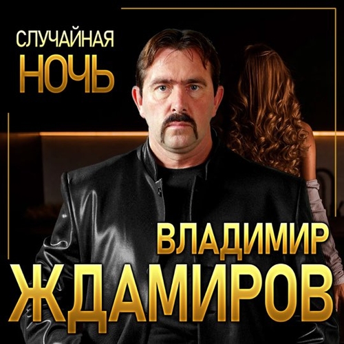 Владимир Ждамиров - Случайная Ночь