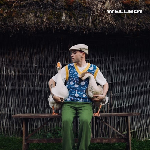 Wellboy - Гуси (Bozz Nakoz Remix)