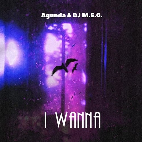 Agunda - I Wanna (feat. DJ M.E.G.)