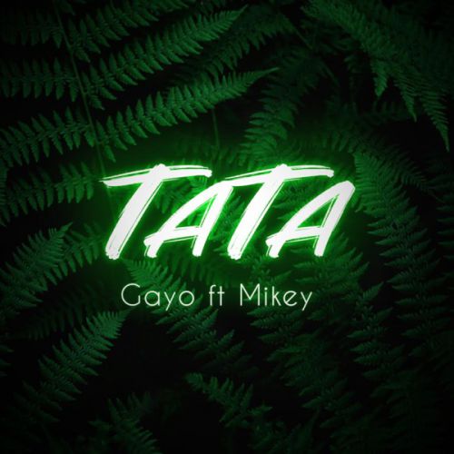 Gayo - Тата (feat. Mikey)