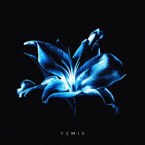 Рум & Рам - Лилии (Glazur & Xm Remix)