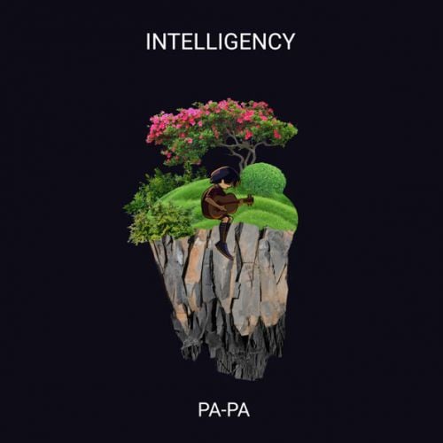Intelligency - Pa-pa