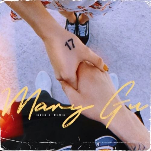 Mary Gu - 17 (Index-1 Remix)